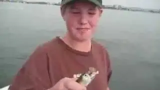 Kid Bites Head Off of Shark
