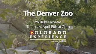 Colorado Experience: The Denver Zoo