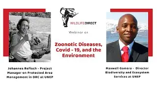 Zoonotic Diseases, COVID - 19, and the Environment