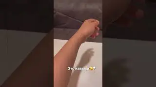 Нашли?