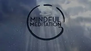 Money Manifestation | Mindful Meditation for Adults