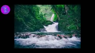 Rain sounds for sleeping, sleep music for dogs, sleep music relaxing music insomnia help...