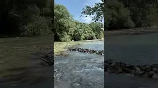 Russia. Maykop. Mountain river. Респ. Адыгея. Река Курджипс.
