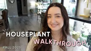 Houseplant Update | Walkthrough My Collection in November 🌿