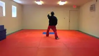 Do-San Hyung (Slowly - Reverse View)
