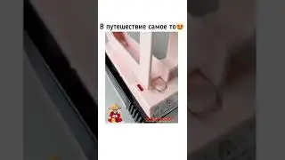 Чудо-Утюг с Aliexpress: находки с алиэкспресс 