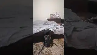 ждун умер