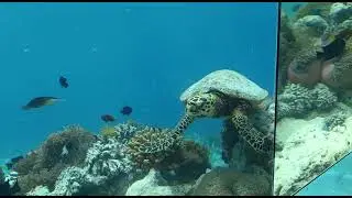 Maldives under water resort
