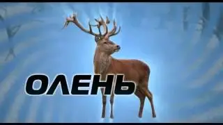 Олень из будущего !!! Чёрт опять опоздал