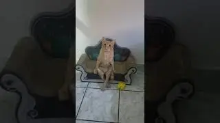 хорошо сидим