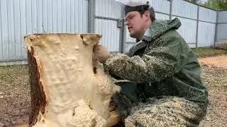 История одного капового пня...