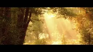 2023 10 IN A SENTIMENTAL MOOD TEASER SOPRANO