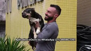 Dono de canil clandestino é preso por maus tratos a animais em Teresópolis