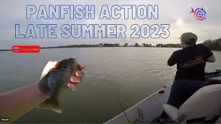 PANFISH IN LATE SUMMER DRAUGHT!!