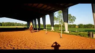 Spanish Red Jack - poles