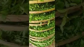23 мая 2023 г.