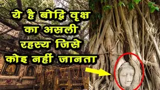 Do you know the real story of Lord Buddha's enlightenment?