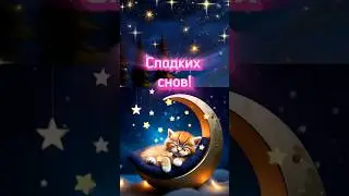 Доброй ночи! Сладких снов!#shorts