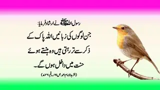 Best collection of Islamic quotes in Urdu / Best Urdu heart touching quotes / Hubsurat Baatein