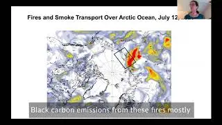 Wildfires and black carbon emissions