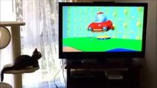 Cat watches TuTiTu TV