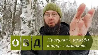 Прогулка с ружьём вокруг Гайтолово по первому снегу