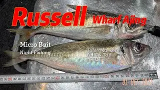 Russell Wharf UltraLight Ajing Fishing