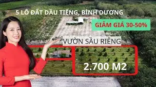 CHÍNH CHỦ CẦN BÁN ĐẤT DẦU TIẾNG BÌNH DƯƠNG - HẠ GIÁ TỪ 30-50% MỖI LÔ - REIVIEW XANH
