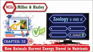 Miller and Harley zoology MCQs - Chapter 32: How Animals Harvest Energy Stored in Nutrients