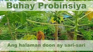 [Personal Vlog - Buhay Probinsiya] - Ang Halaman Doon ay Sari-sari (Simpleng Buhay)