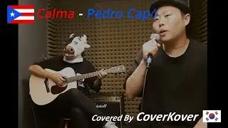 Calma - Pedro Capó │ Puerto Rico │ Covered by 커버코버 (CoverKover)