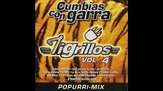 Los Tigrillos MIRA OYE