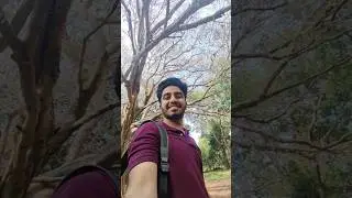 A Day Outing in Cubbon Park, Bengaluru  #cubbonpark #bengaluru #dayouting
