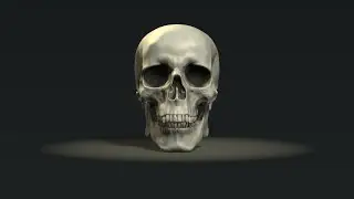 zbrush sculpting -skull