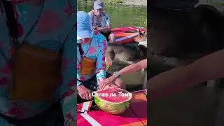 4 августа 2024 г.