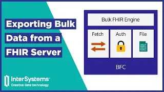 Exporting Bulk Data from a FHIR Server