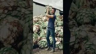 Haciendo brazo con las piñas de mi mezcal Santo Gusano 💪🏼🐛