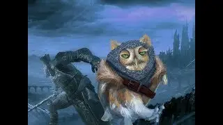 DARK SOULS REMASTERED PvP баф билд