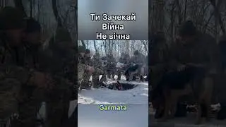 З Днем Валентина для Коханих від ЗСУ 