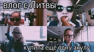 ВЛОГ ИЗ ЛИТВЫ|КОНЕЦ АВГУСТА #ВЛОГ #ЛИТВА