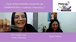 ¿Qué enfermedades transmiten las garrapatas a nuestros perros y gatos?