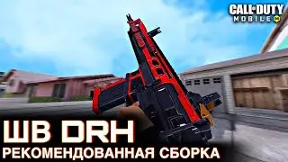 Рекомендованная сборка ШВ DRH / Сетевая игра / CALL OF DUTY MOBILE / LUMUMBA RUMUMBA / 12+