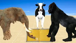 Choose Right Wall with Animals LONGEST STAIRCASE BUILD Glue Trap Challenge