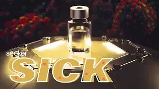 A Universal Vaccine May Be Closer Than You Think