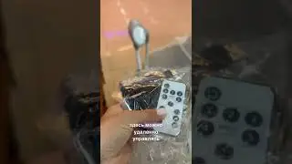 Детские электрокачели -люлька. Для заказа www.maksbabyshop.ru
