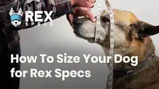 How To Size Your Dog for Rex Specs