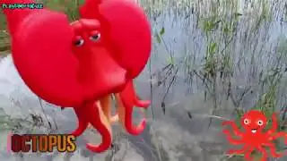 Learn Sea Creatures Names