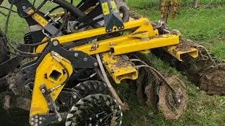 AZF farming: vineyard sod seeding