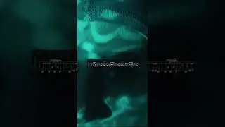 Baby Stop TRANSCRIPTION