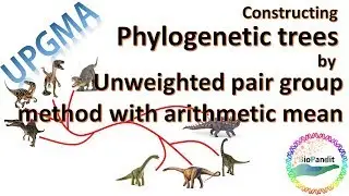 Constructing Phylogenetic trees by Unweighted Pair Group Method : UPGMA